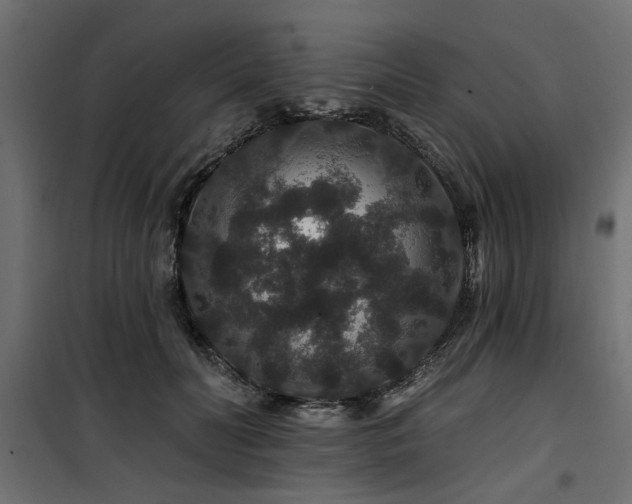 X0000100750606200806191145