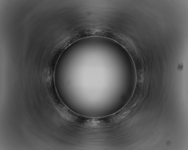 X0000100750607200806191145