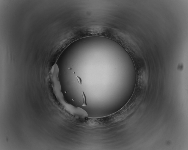 X0000100750608200806191145