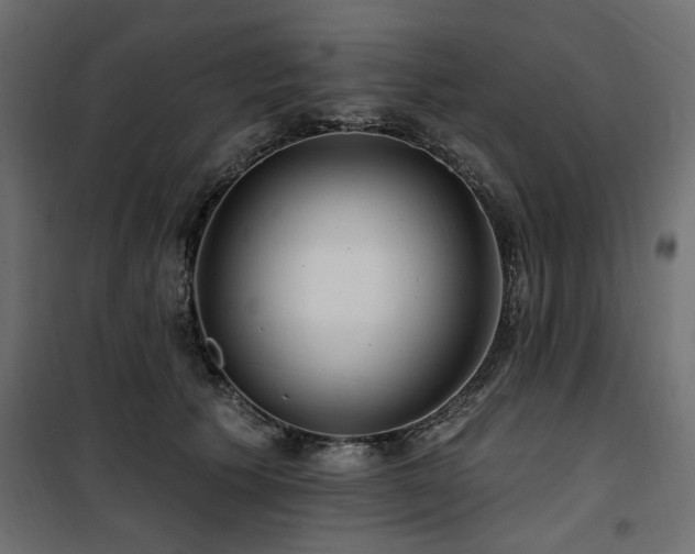 X0000100750609200806191145