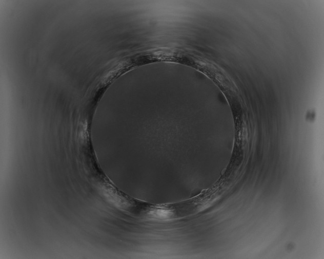 X0000100750610200806191145