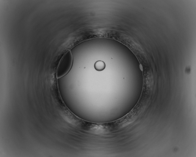 X0000100750611200806191145