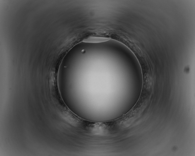 X0000100750612200806191145