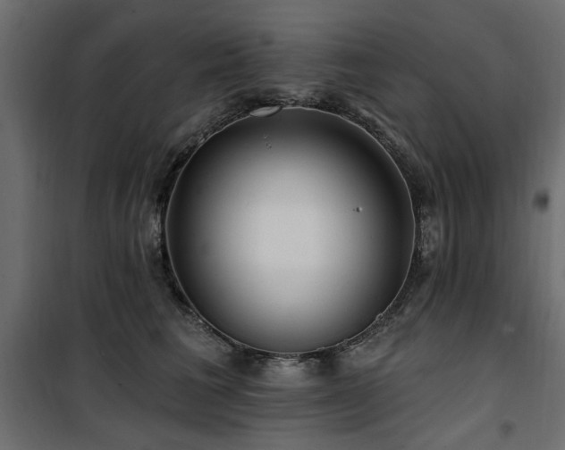 X0000100750613200806191145