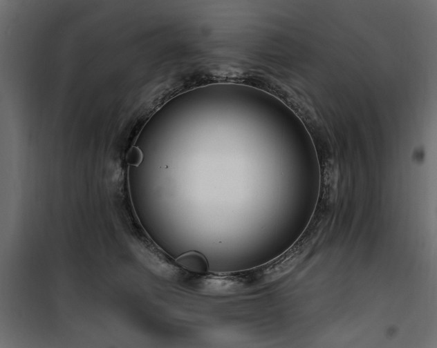 X0000100750614200806191145