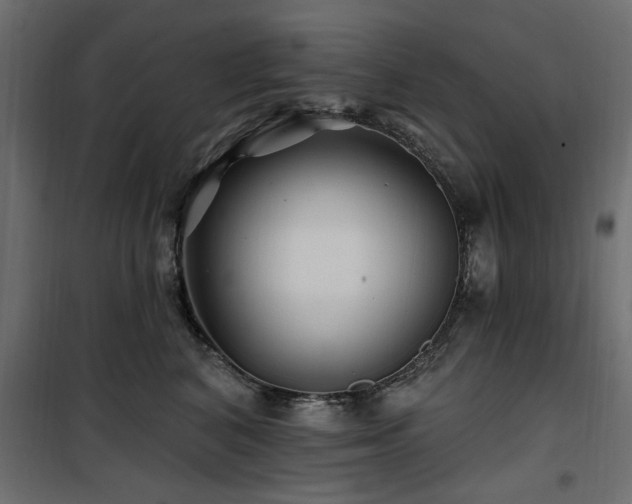 X0000100750616200806191145