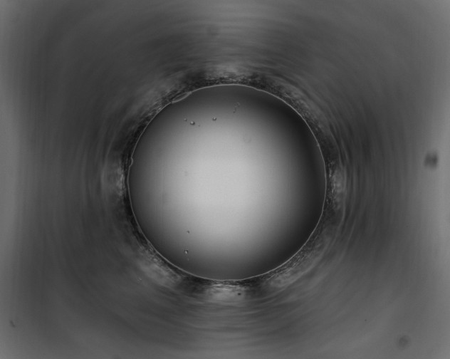 X0000100750617200806191145