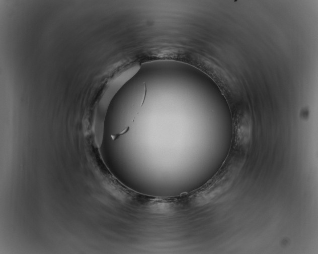 X0000100750620200806191145