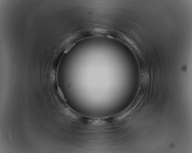 X0000100750621200806191145