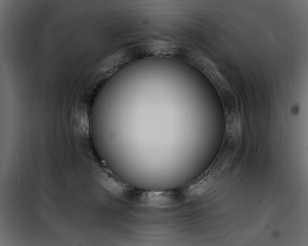 X0000100750622200806191145