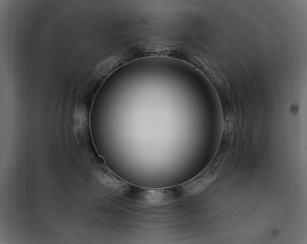 X0000100750623200806191145