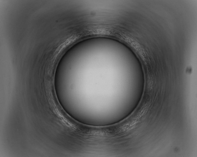 X0000100750625200806191144