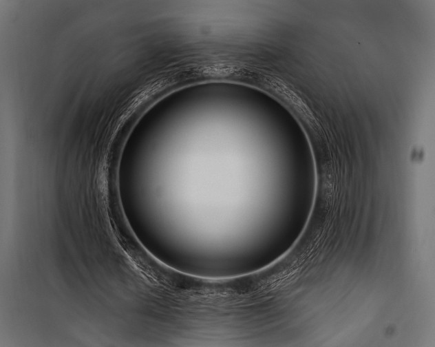 X0000100750626200806191144