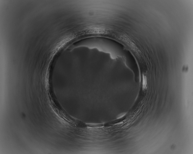 X0000100750627200806191144