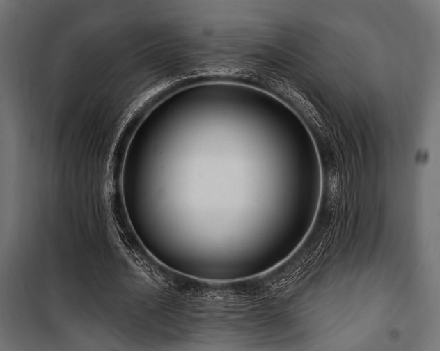 X0000100750628200806191144