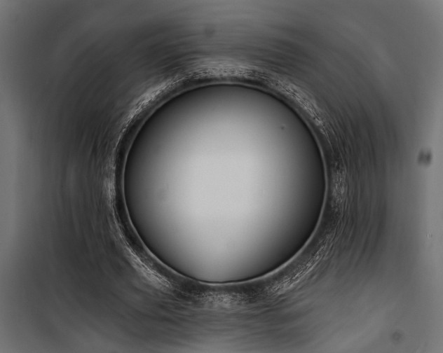 X0000100750629200806191144