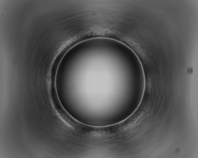 X0000100750630200806191144