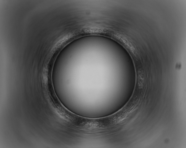 X0000100750631200806191144