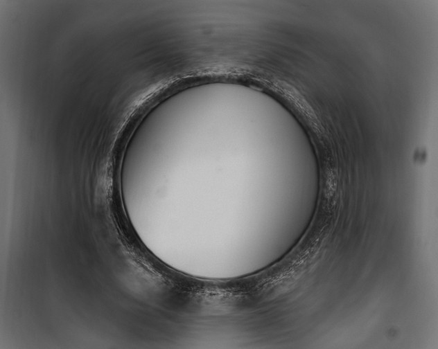 X0000100750632200806191144