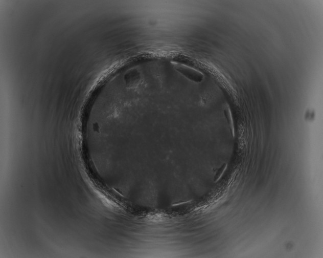 X0000100750634200806191144