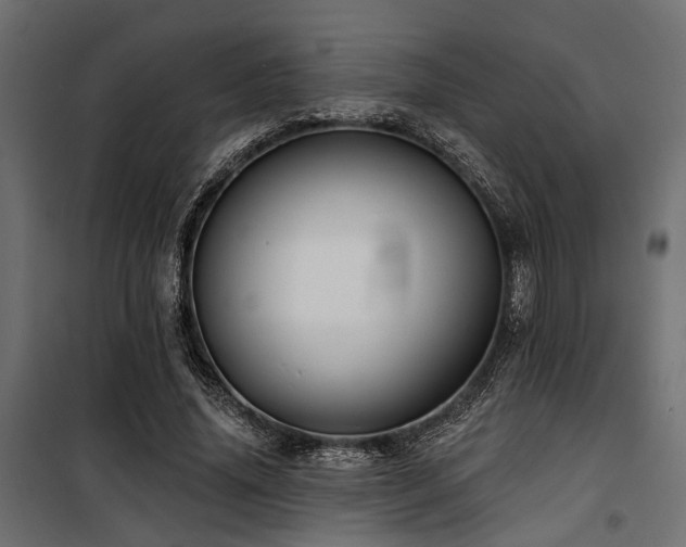 X0000100750636200806191144