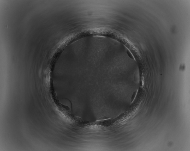 X0000100750637200806191144