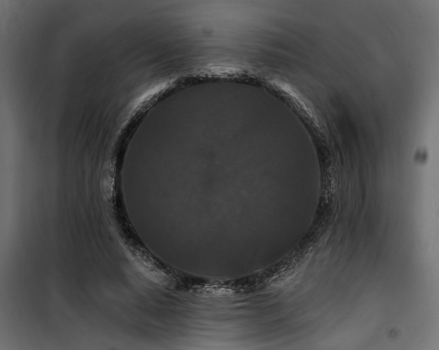 X0000100750640200806191144