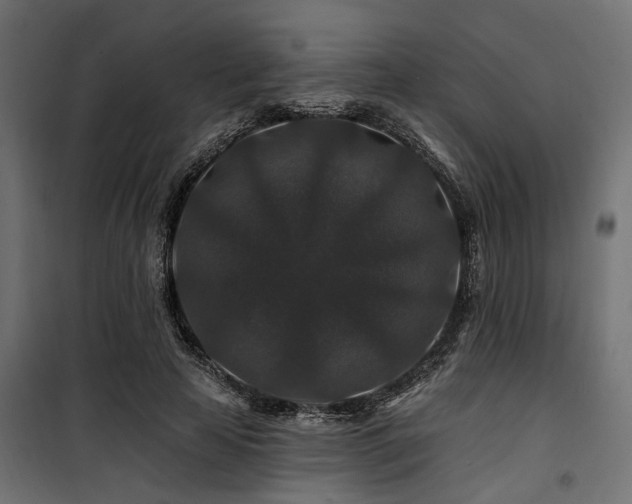 X0000100750641200806191144