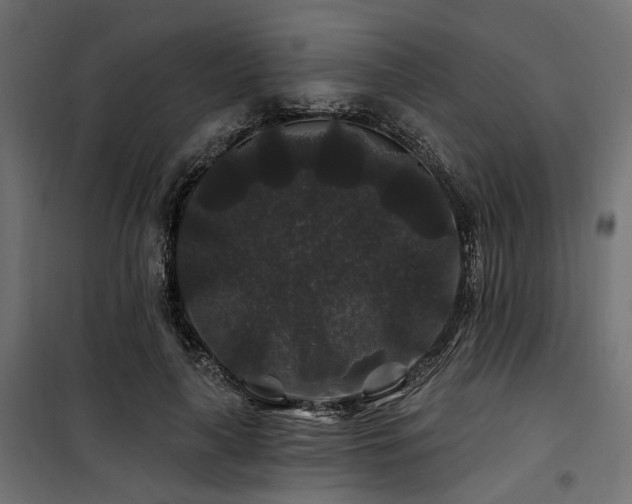 X0000100750643200806191144