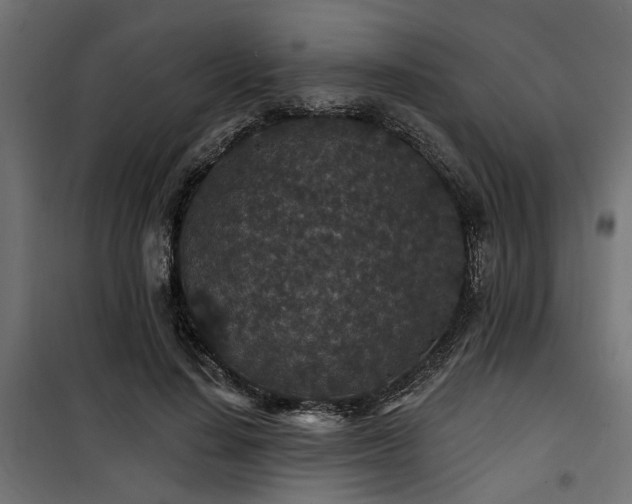 X0000100750644200806191144