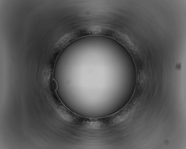 X0000100750645200806191144