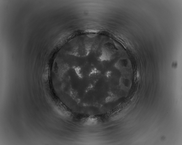 X0000100750647200806191144