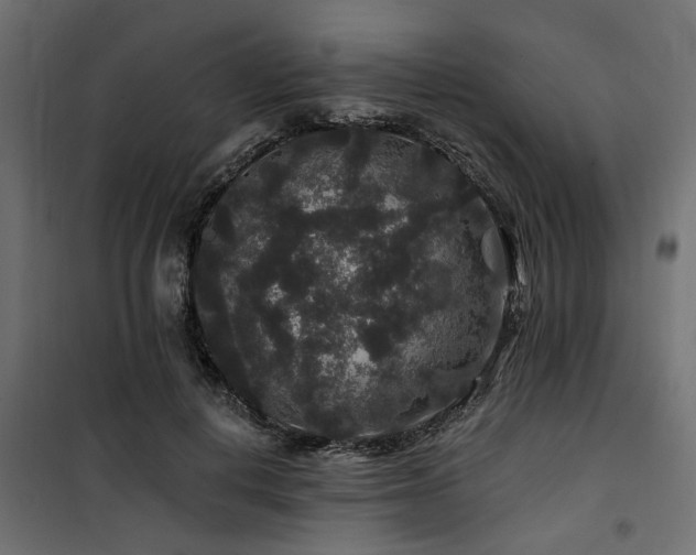 X0000100750648200806191144