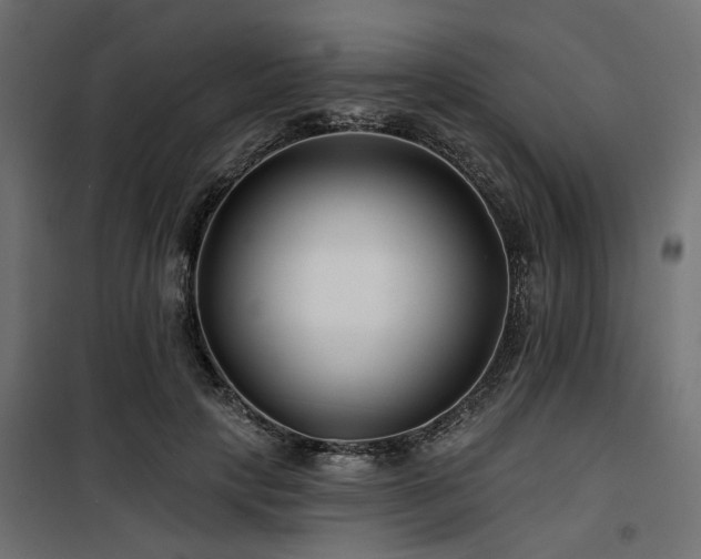 X0000100750649200806191144