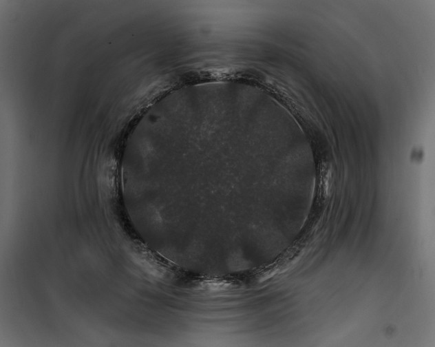 X0000100750650200806191144