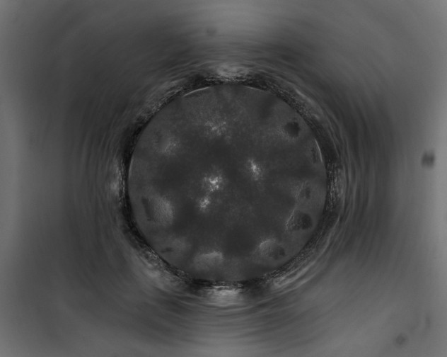 X0000100750651200806191144