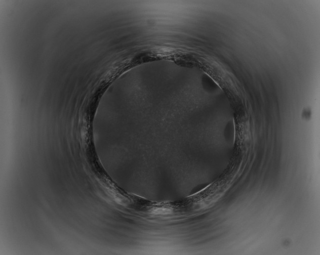 X0000100750653200806191145