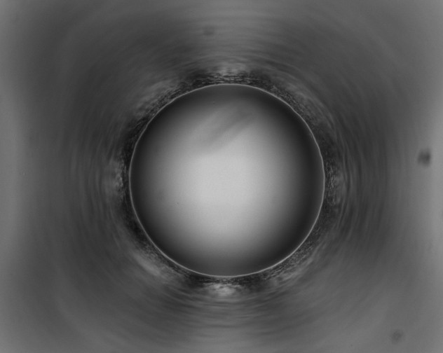 X0000100750654200806191145