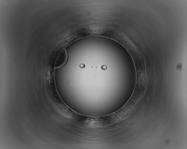 X0000100750655200806191145