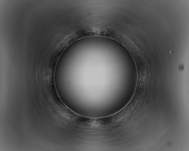 X0000100750656200806191145