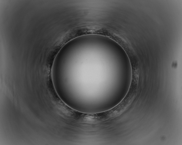 X0000100750657200806191145