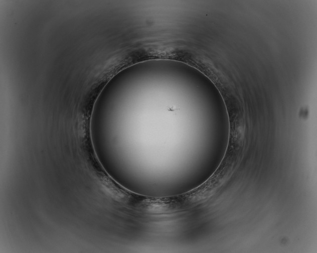 X0000100750658200806191145