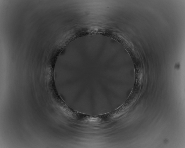 X0000100750659200806191145