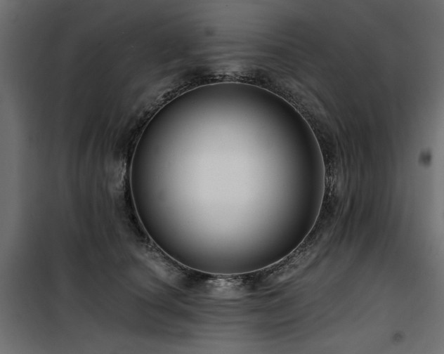 X0000100750660200806191145