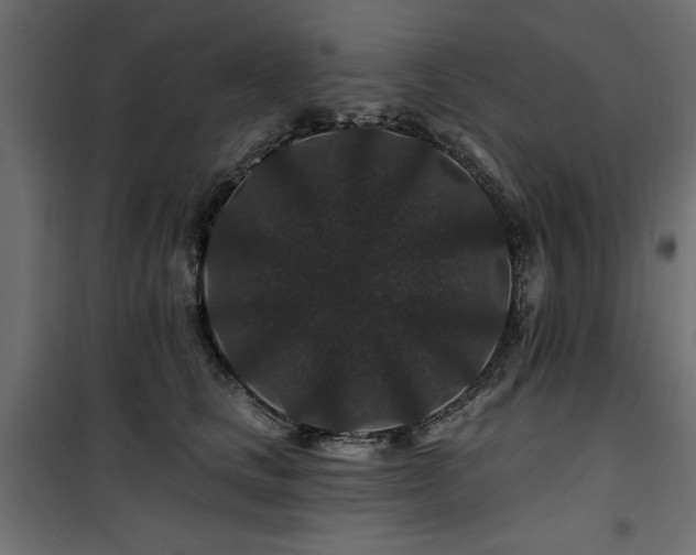 X0000100750661200806191145