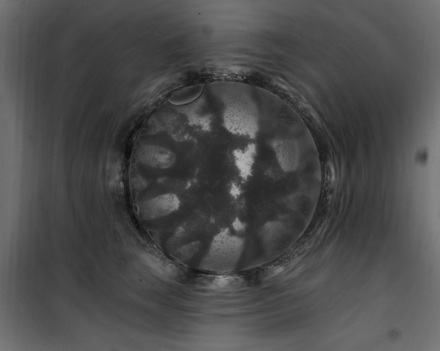 X0000100750663200806191145