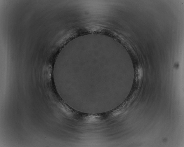 X0000100750664200806191145