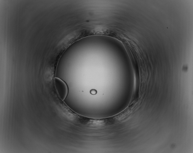 X0000100750665200806191145