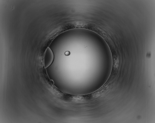 X0000100750666200806191145