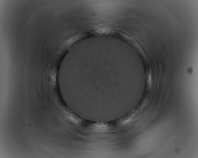 X0000100750668200806191145